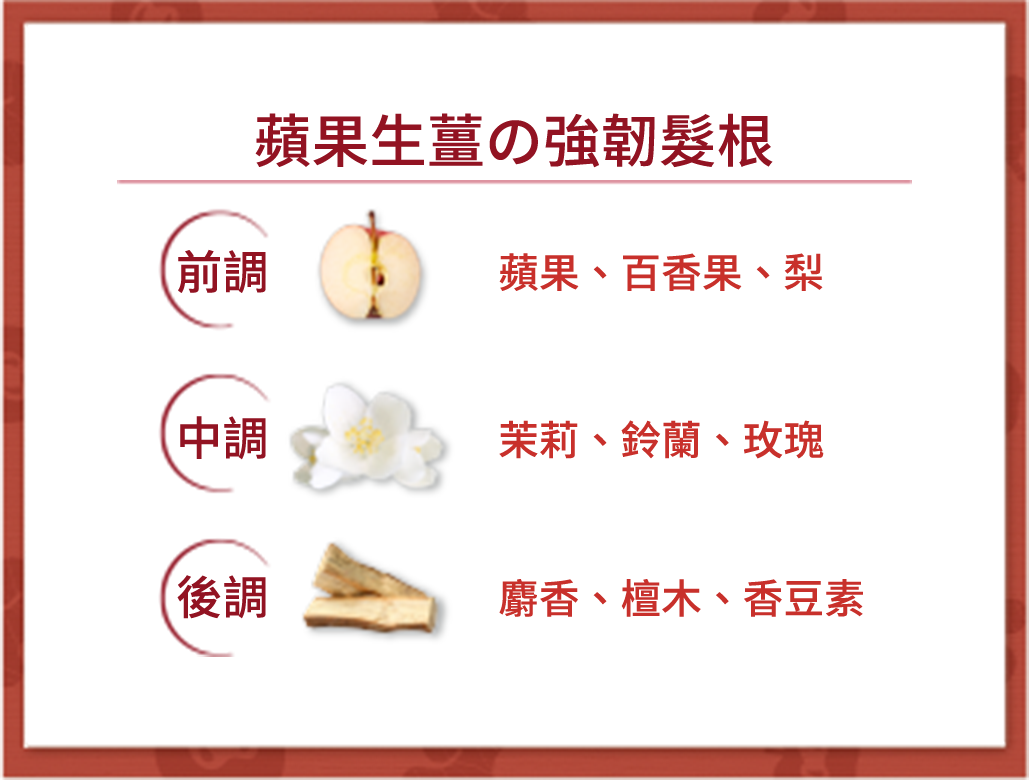 蘋果生薑の強韌髮根、前調(蘋果、百香果、梨)、中調(茉莉、鈴蘭、玫瑰)、後調(麝香、檀木、香豆素)