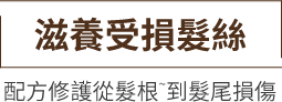 滋養受損髮絲 配方修護從髮根~到髮梢損傷