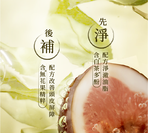無花果X白茶洗護系列 桌機版