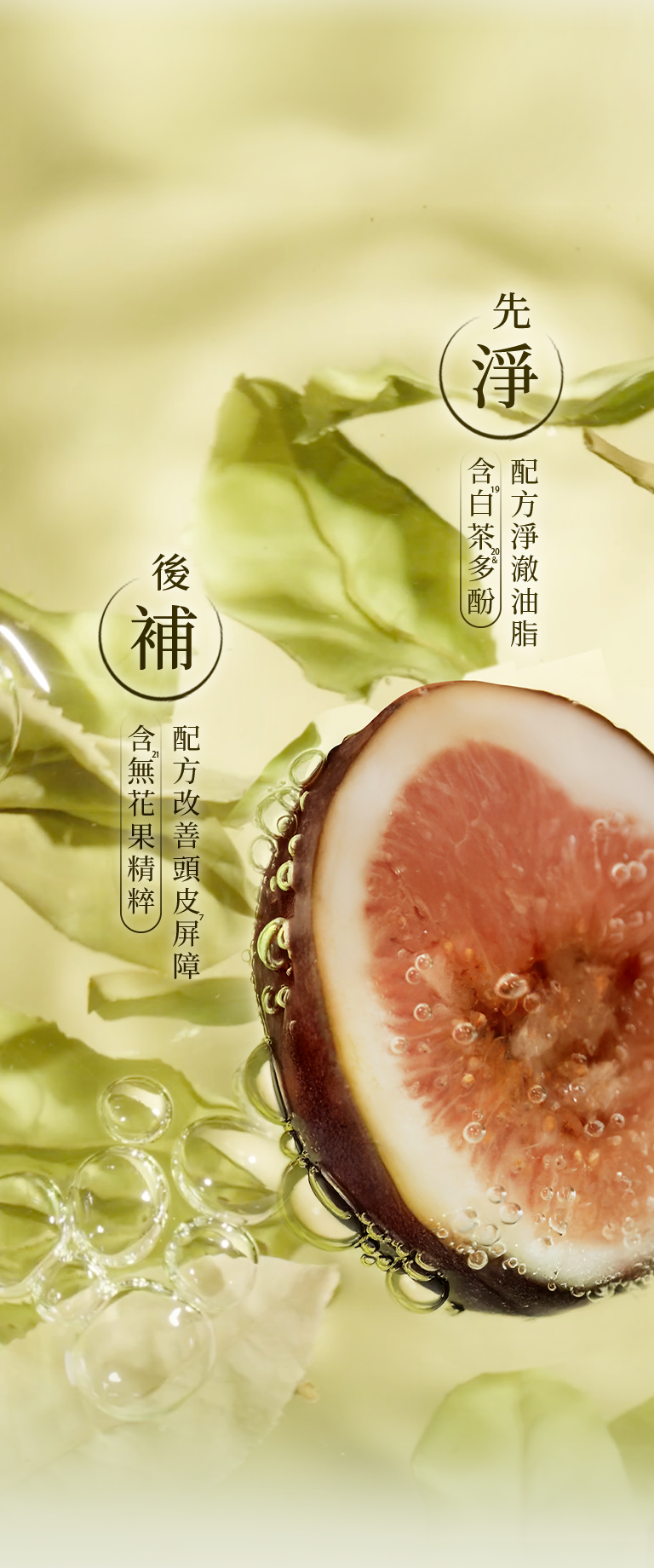 無花果X白茶洗護系列 手機版