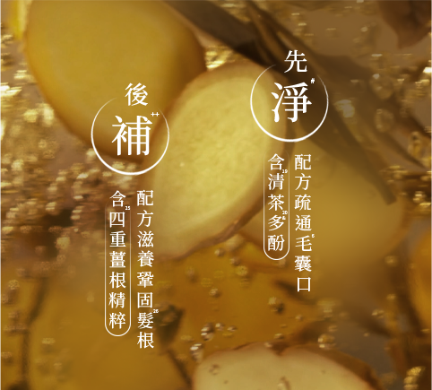 先淨後補 桌機版