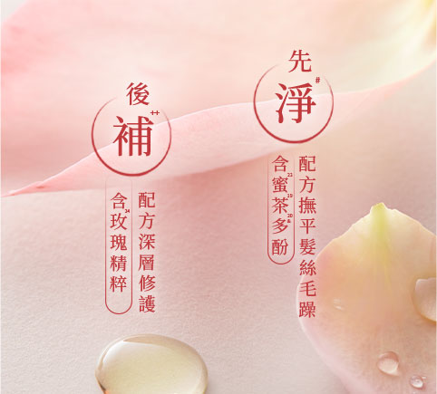 先淨後補-配方撫平髮絲毛躁 桌機版